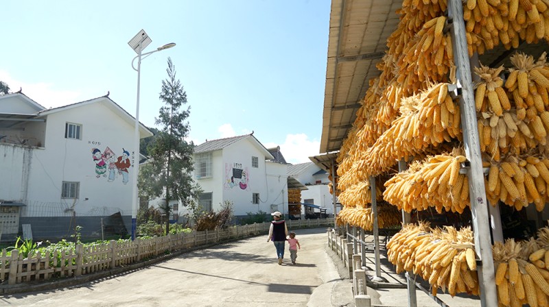 眉山村实景。绵竹市融媒体中心供图
