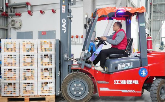 工作人員用叉車運送鮮果愛媛。余文攝