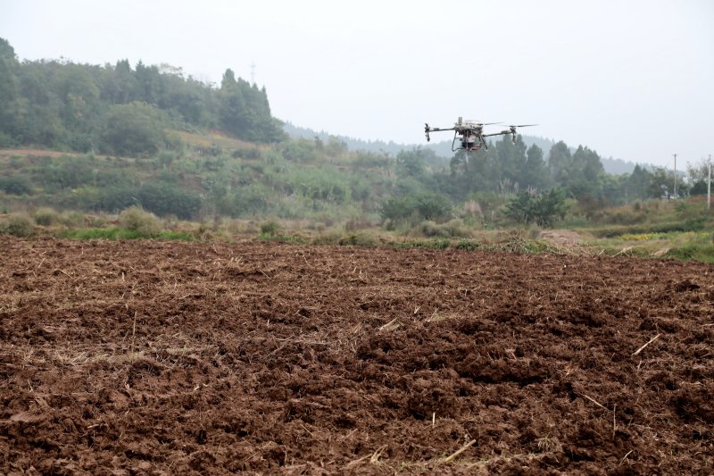 播種完成的麥田。孫小紅攝