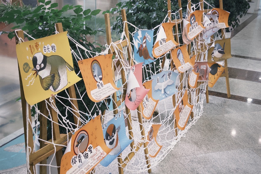 發現身邊的鳥類鄰居展覽。主辦方供圖