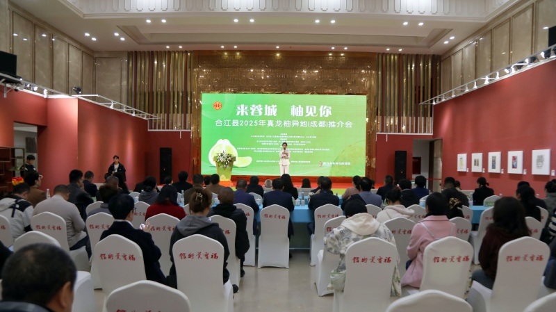 活动现场。合江融媒供图