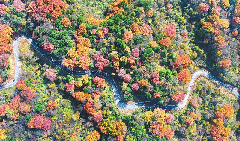 航拍米仓山一角。旺苍县融媒体中心供图