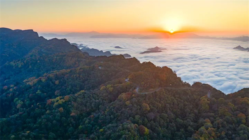 米仓山云海。旺苍县融媒体中心供图