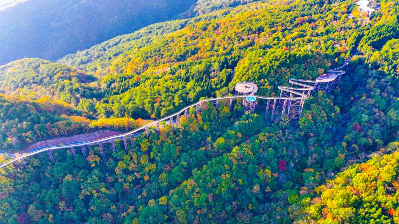 游客在樹冠雲廊上漫步。宣漢縣委宣傳部供圖