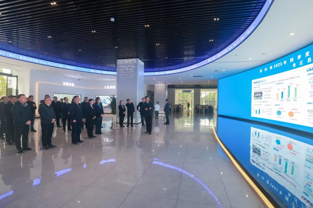 趙迎春率隊實地考察重點項目。樂山市融媒體中心供圖