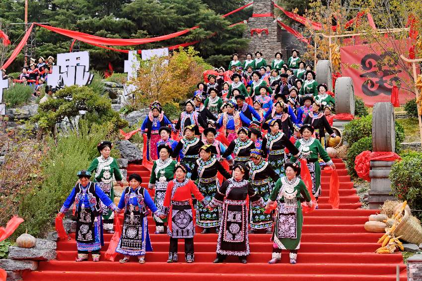 活動現場。主辦方供圖