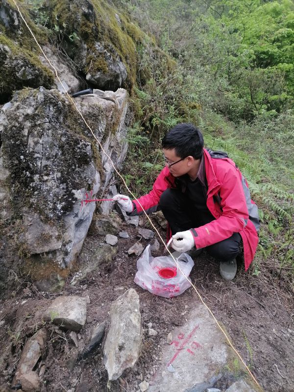 技术人员对雷波县阿居洛呷磷矿进行进行野外地质剖面测量。罗乾摄