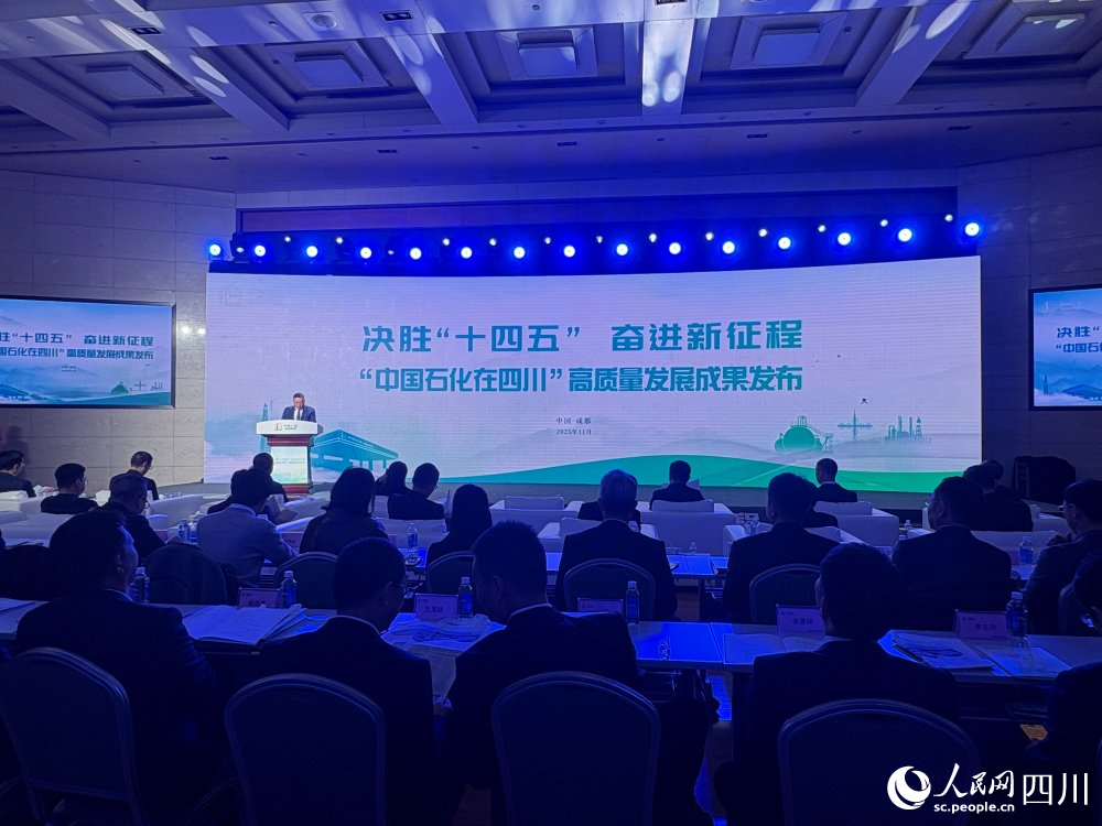 发布会现场。人民网 赵祖乐摄