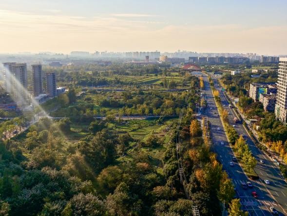 青羊大悅城項目。鄭棟梁供圖