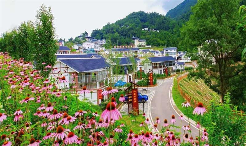 旺苍县美丽乡村。陈绍海供图