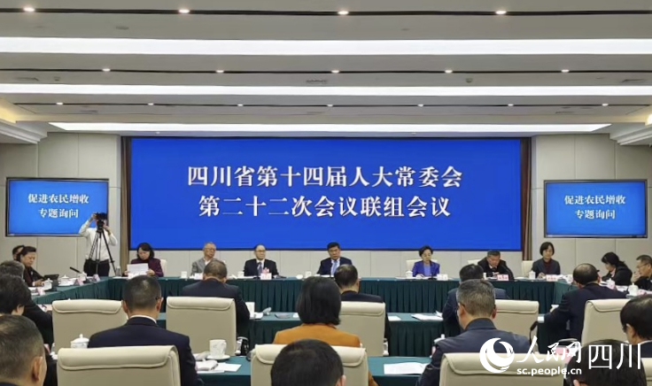 会议现场。人民网记者 李平摄