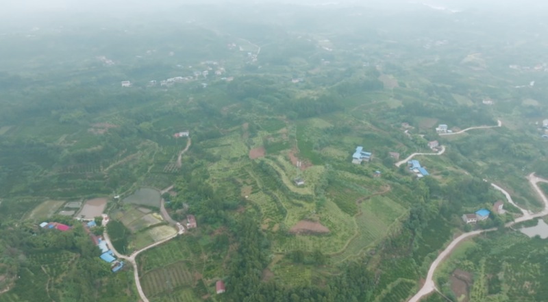 豐裕鎮同意村。雁江區委宣傳部供圖