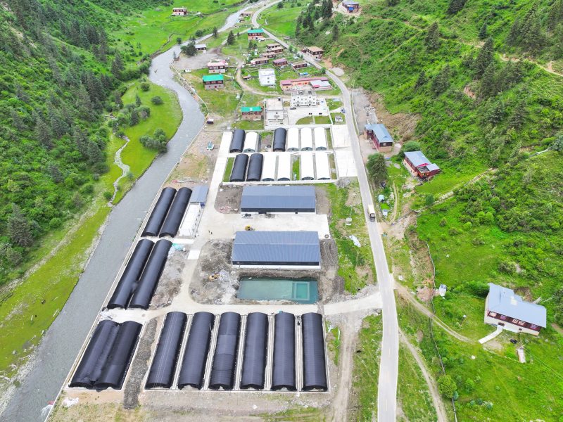 香菇、藍莓種植基地航拍。四川金融監管局供圖