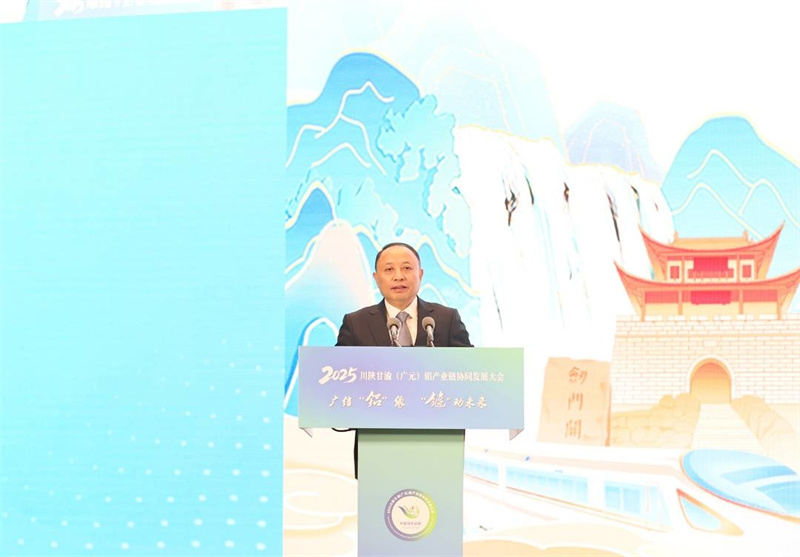 廣元市委書記何樹平在會上作推介。廣元市融媒體中心供圖