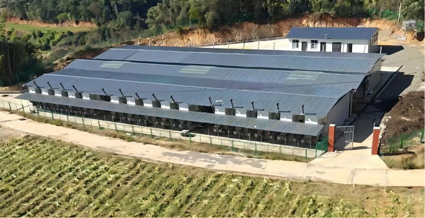 新九鎮新能源烤房群。鹽邊縣煙草專賣局（分公司）供圖