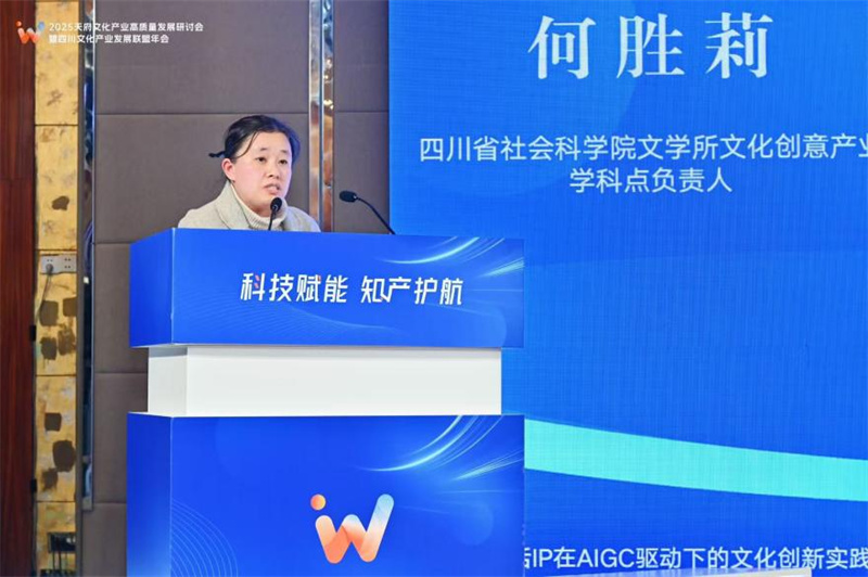 省社会科学院文学所文化创意产业学科点负责人何胜莉作演讲。主办方供图