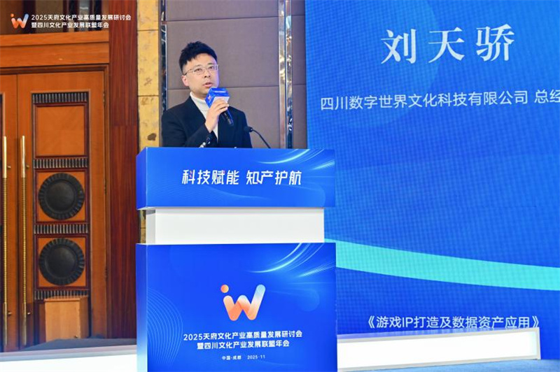 四川數字世界文化科技有限公司總經理劉天驕作演講。主辦方供圖