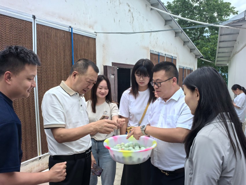 2025年5月，建瓦養殖場生態雞養殖成功投產。受訪者供圖