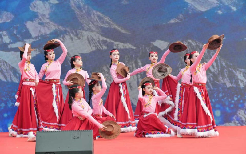 活动现场。主办方供图