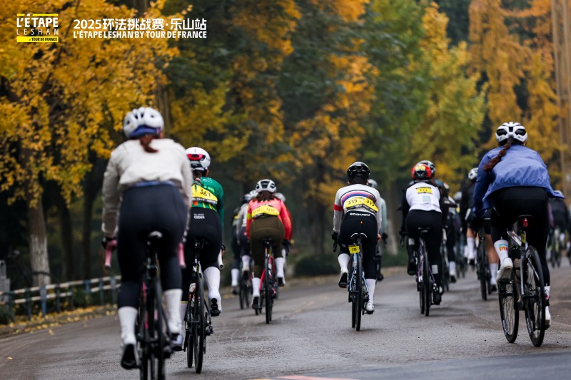 沿途的彩林。主辦方供圖