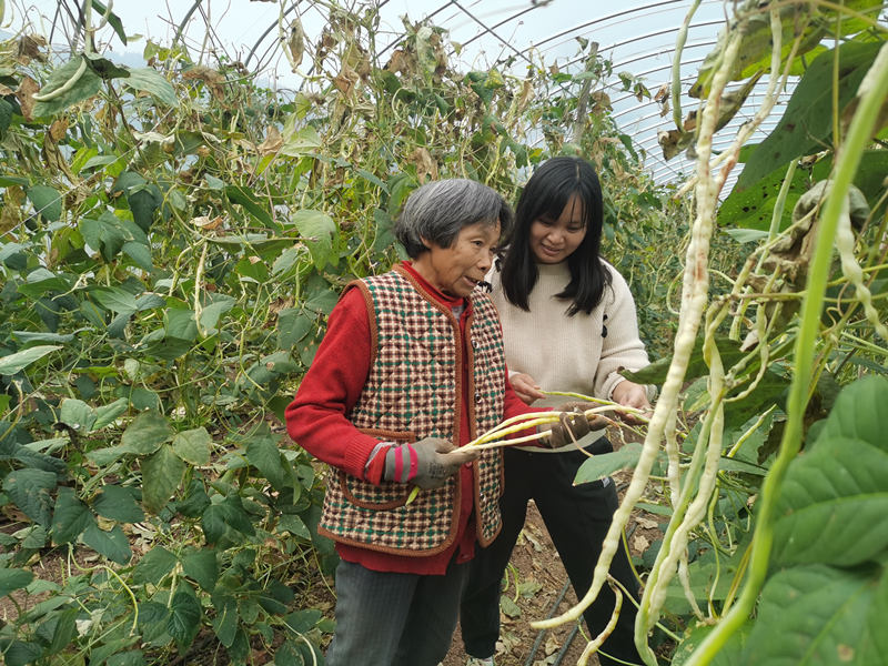 市、镇人大代表罗莉为群众传授种植技术。乐至县人大供图