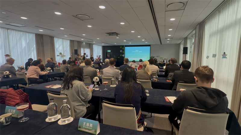 活动现场。主办方供图