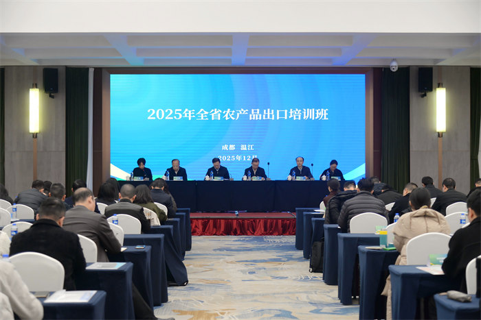 活動現場。主辦方供圖