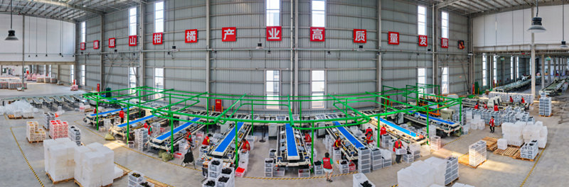 青神縣綜合物流園智能化分揀線。古良駒攝