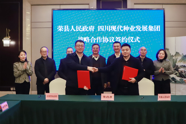 签约仪式。虞芳琳供图