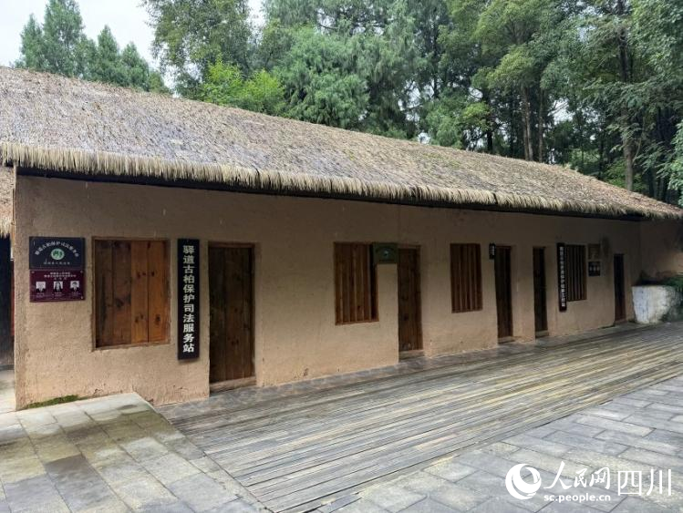 古柏保护司法服务站。实习生张悦摄