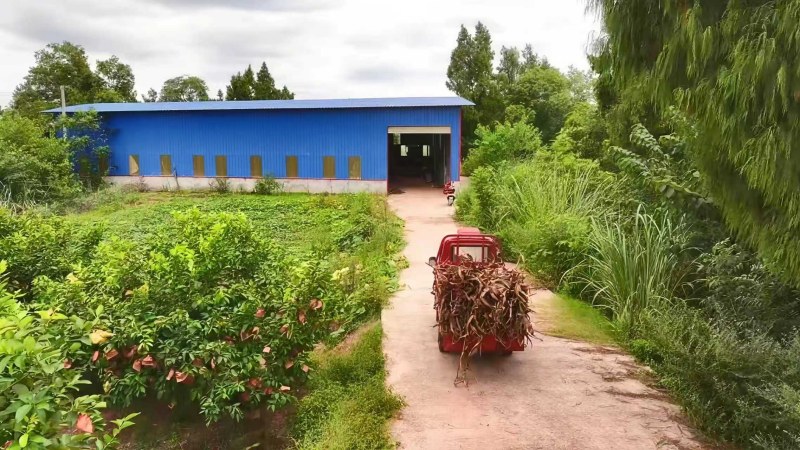 毛店社区秸秆综合利用处理中心。潘政吉摄
