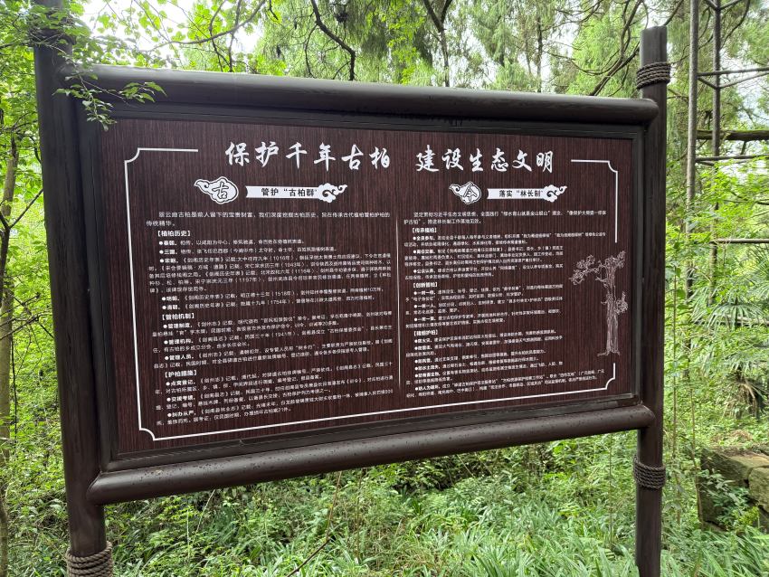 生态保护宣传牌。实习生张悦摄