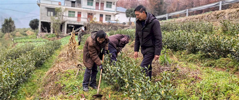 专业技术人员现场指导。青川县融媒体中心供图