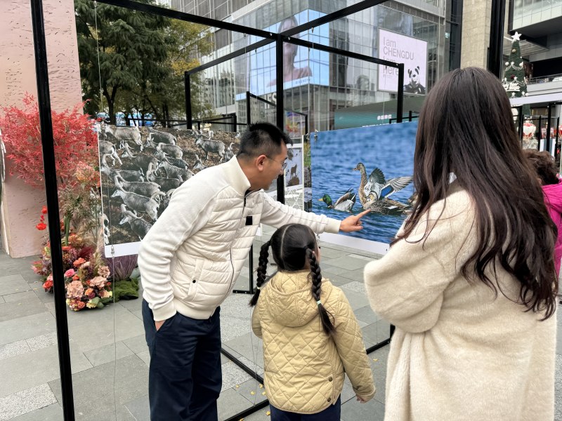现场展出作品。炉霍县委宣传部供图