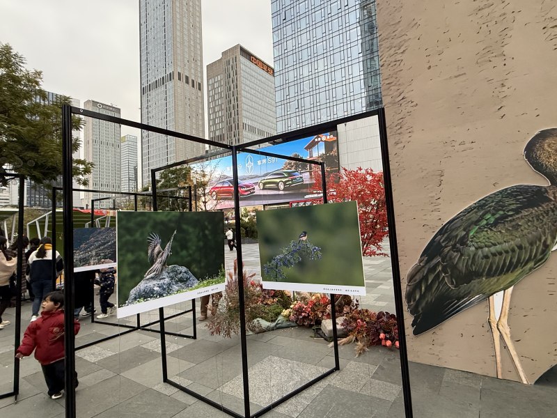 现场展出作品。炉霍县委宣传部供图