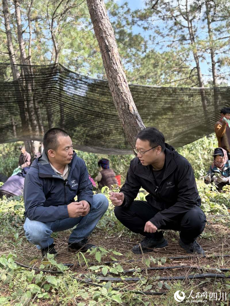 胡丹诚与廖美庭正在探讨明年基地的发展。人民网记者 朱虹摄