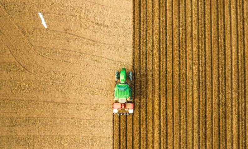 渠县土溪镇万亩蔬菜基地上,拖拉机正在耕作。