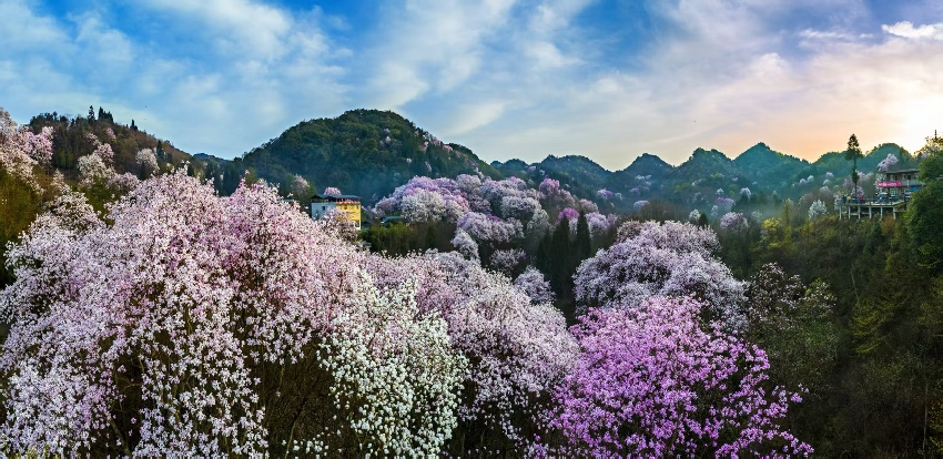 �����Ĵ����Ĵ�ʡ�ֲݾֹ�ͼ