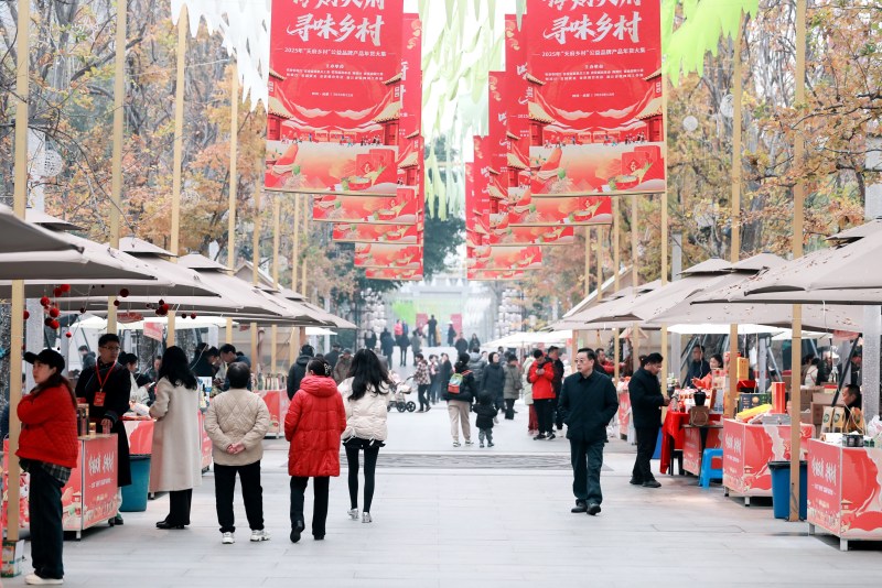 活動現場。主辦方供圖