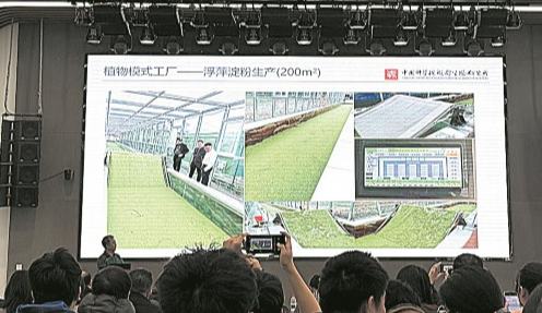 浮萍什麼來頭？