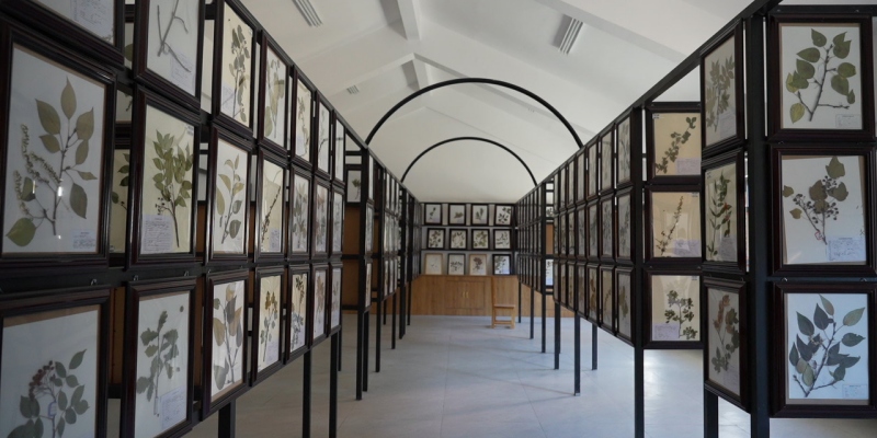 標本庫內標本展示區。道孚縣委宣傳部供圖