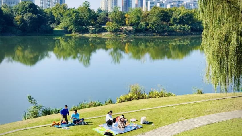 悠闲的公园生活。成都市双流区河长办供图