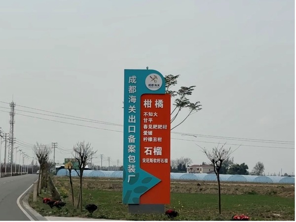 成都海关出口备案包装厂。袁宇君摄