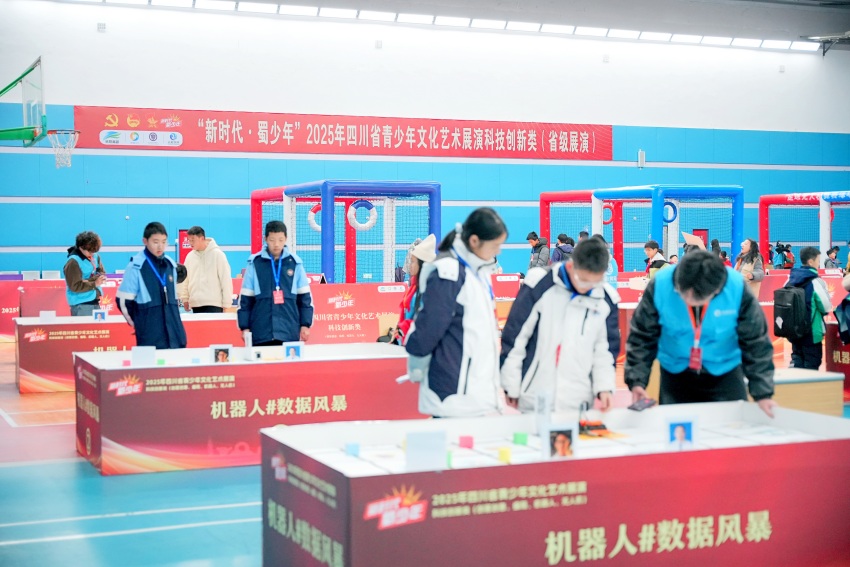 省级展演（科创类）。主办方供图