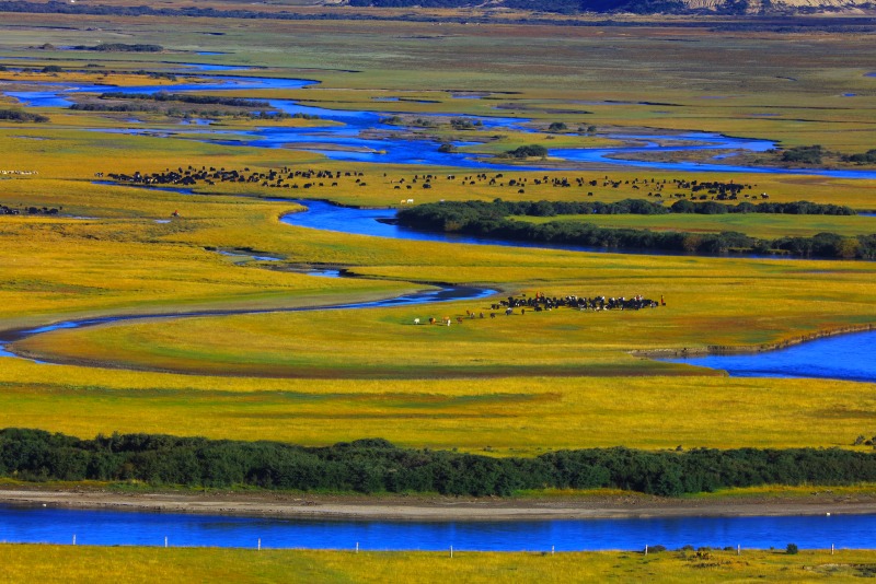 甘孜州理塘县无量河湿地。