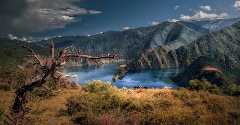 甘孜州天龙湖雪景。