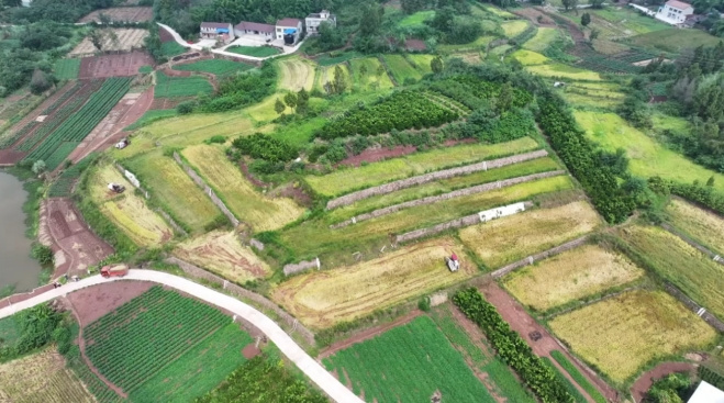 堪嘉镇大桐庙村垦造水田。雁江融媒体中心供图