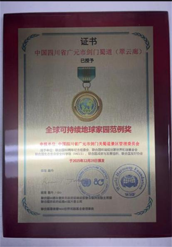 获奖铜牌。广元市融媒体中心供图