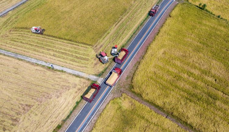 南充营山县建通村耕地保护区