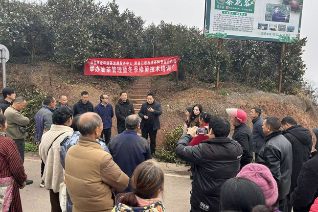 冬季油茶种植培训会。章涵供图